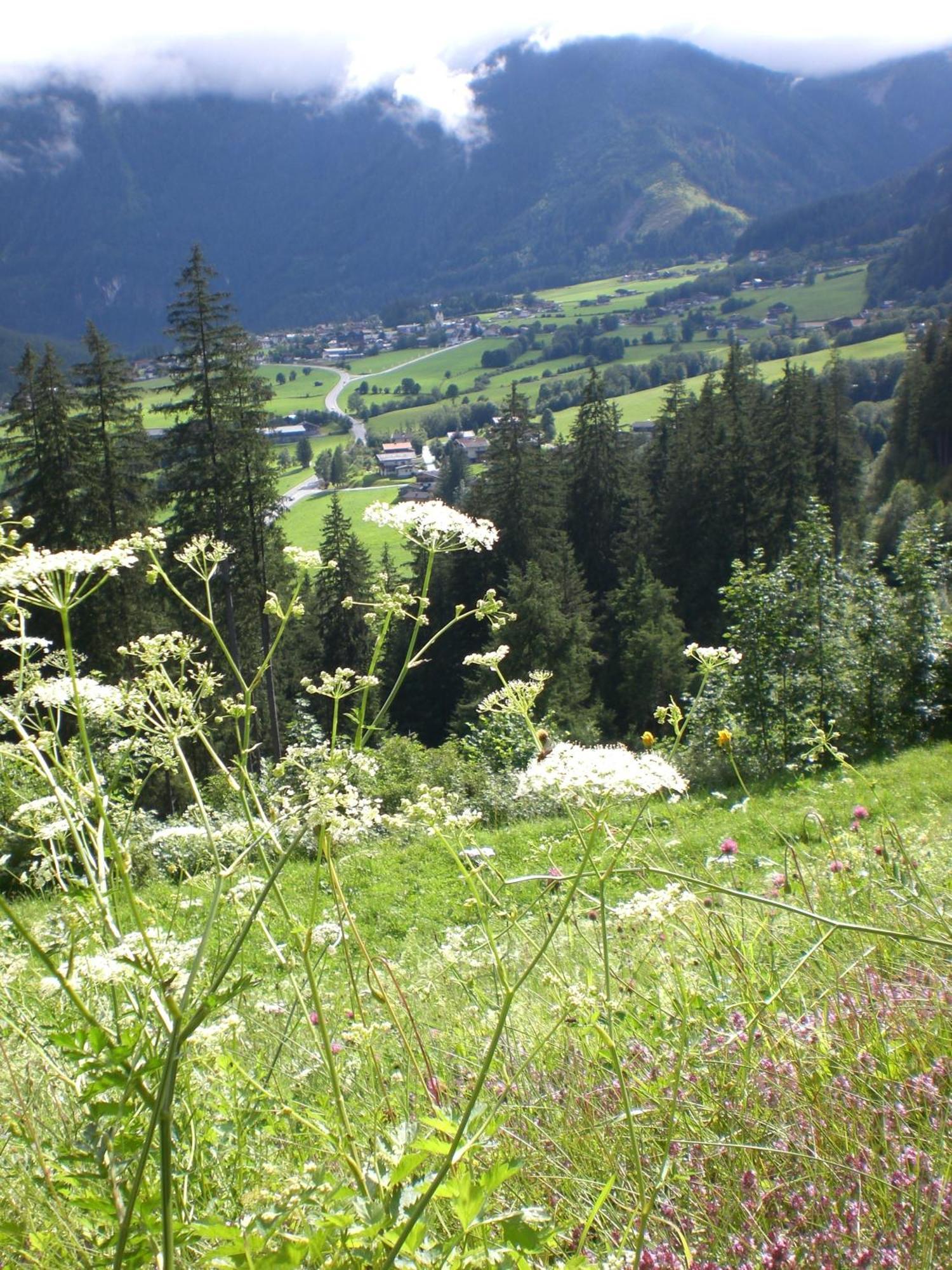 Pension Falkenstein Krimml Exterior foto